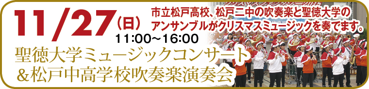 xmas_waku34